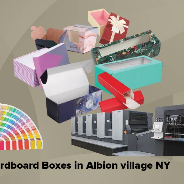 Cardboard boxes in albion village ny