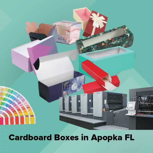 Cardboard boxes in apopka fl