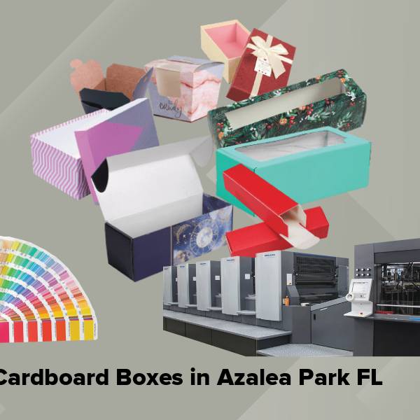 Cardboard boxes in azalea park fl