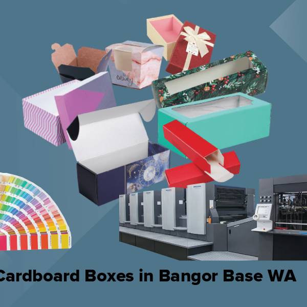 Cardboard boxes in bangor base wa