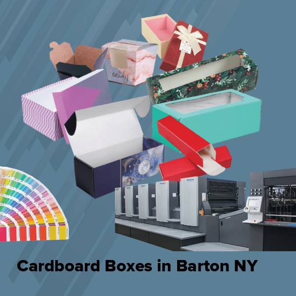 Cardboard boxes in barton ny
