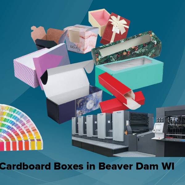 Cardboard boxes in beaver dam wi