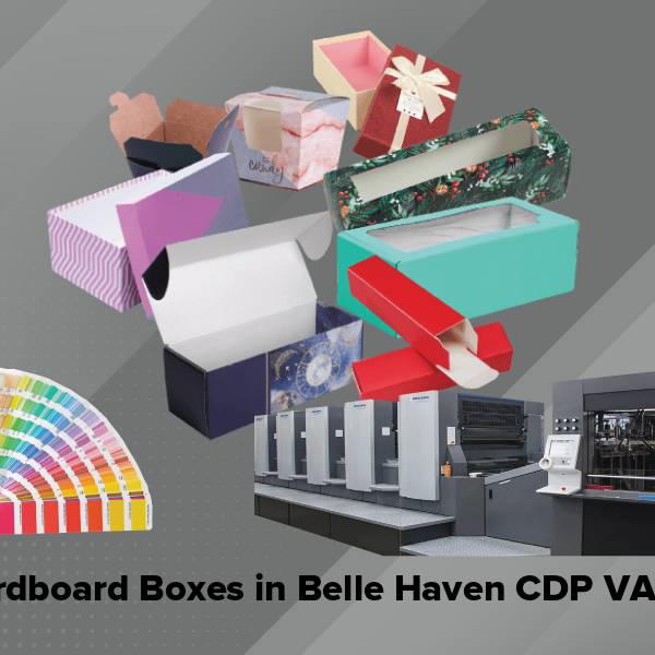Cardboard boxes in belle haven cdp va