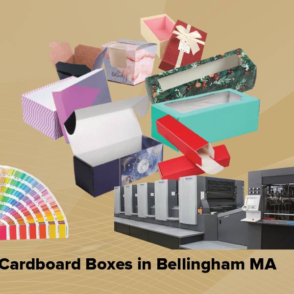 Cardboard boxes in bellingham ma