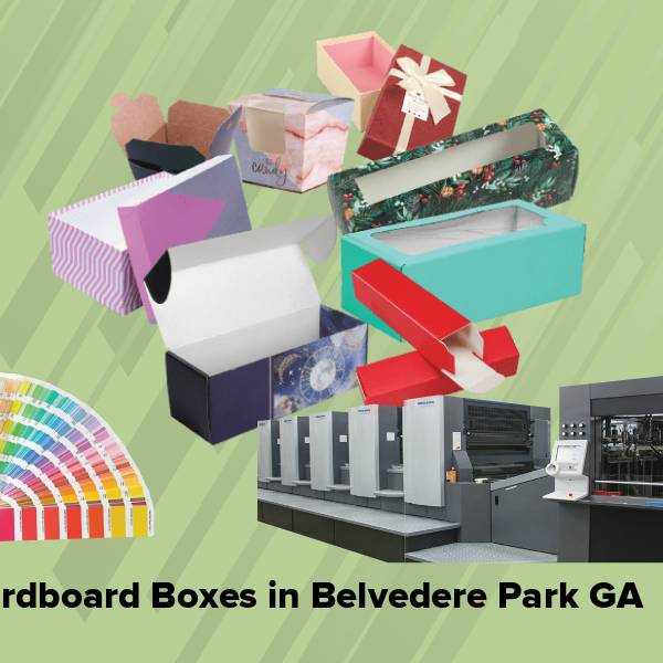 Cardboard boxes in belvedere park ga