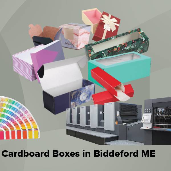 Cardboard boxes in biddeford me
