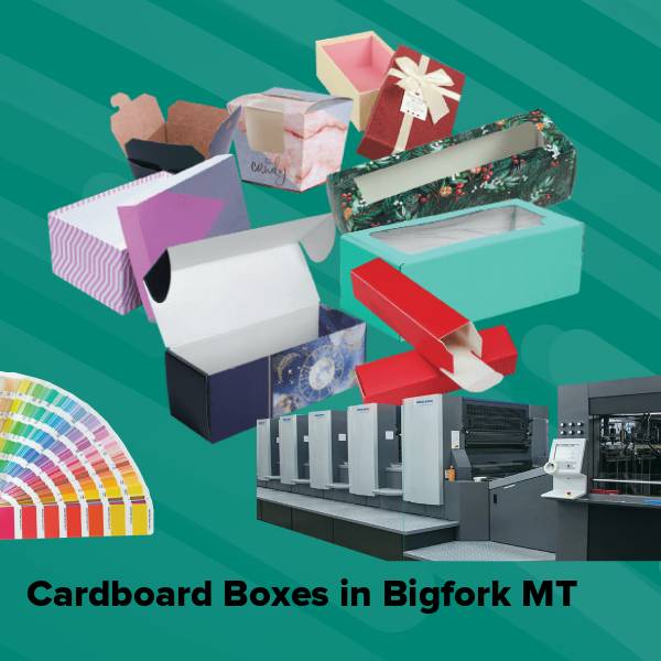 Cardboard boxes in bigfork mt