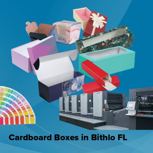 Cardboard boxes in bithlo fl