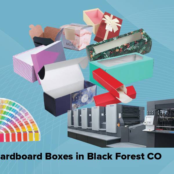 Cardboard boxes in black forest co