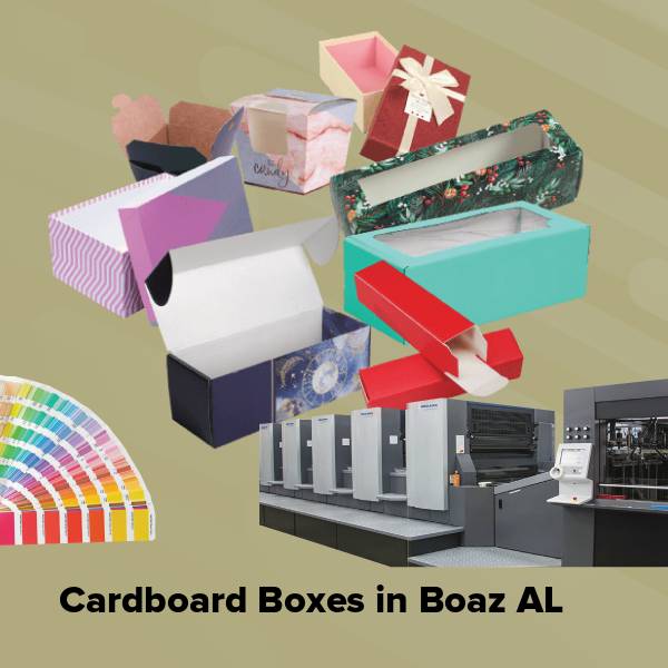 Cardboard boxes in boaz al