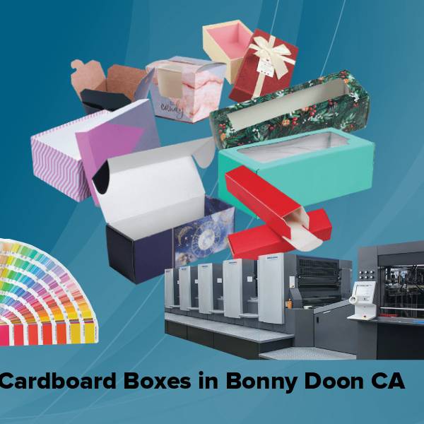 Cardboard boxes in bonny doon ca