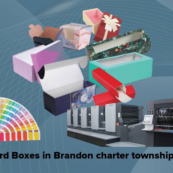 Cardboard boxes in brandon charter township mi