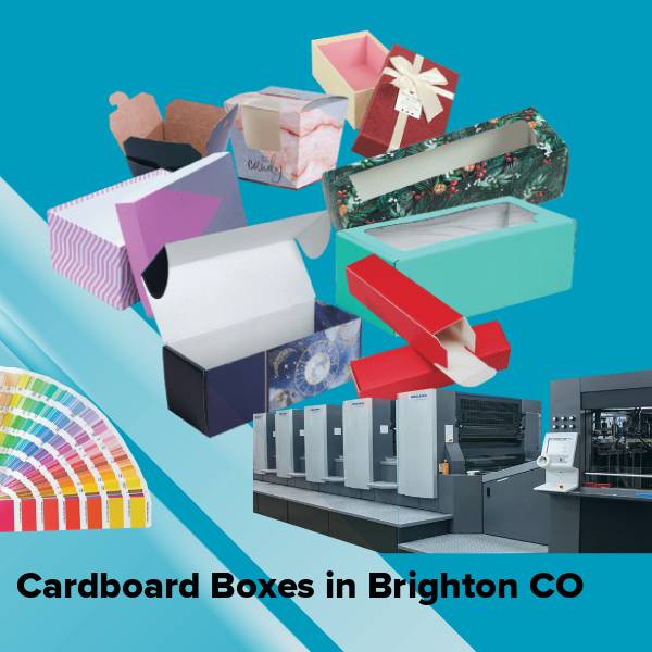 Cardboard boxes in brighton co