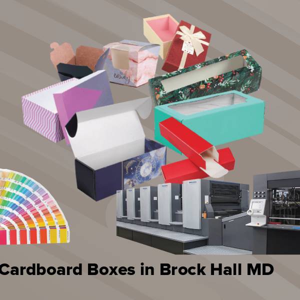Cardboard boxes in brock hall md