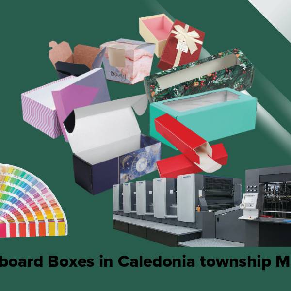 Cardboard boxes in caledonia township mi