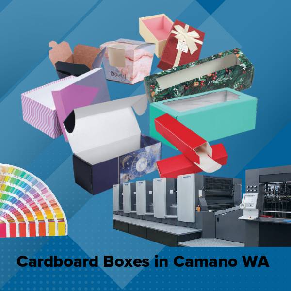 Cardboard boxes in camano wa