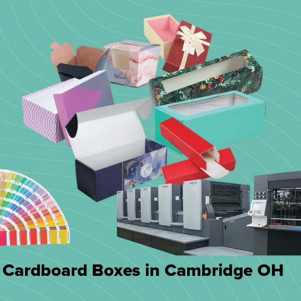 Cardboard boxes in cambridge oh
