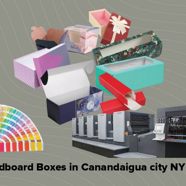 Cardboard boxes in canandaigua city ny
