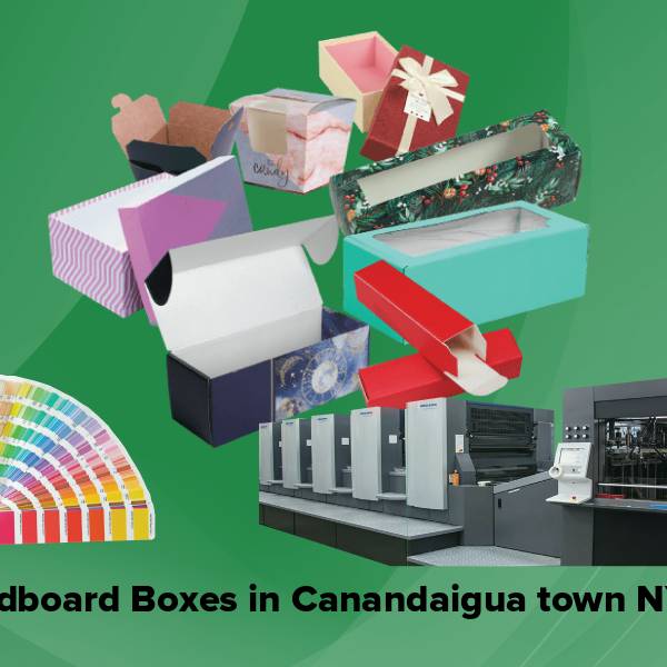 Cardboard boxes in canandaigua town ny