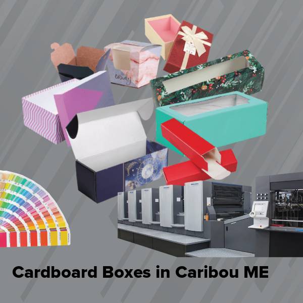 Cardboard boxes in caribou me