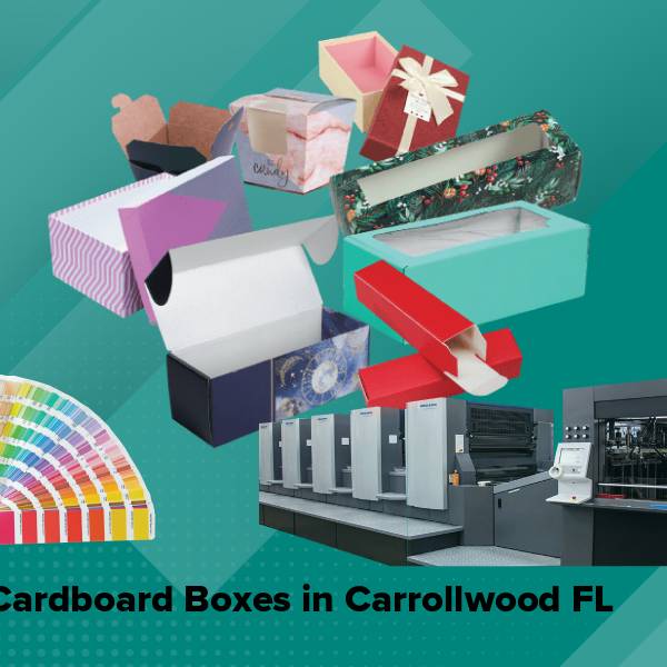 Cardboard boxes in carrollwood fl