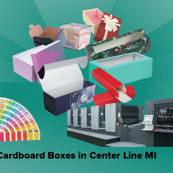 Cardboard boxes in center line mi