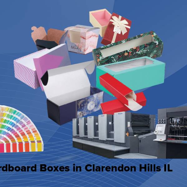 Cardboard boxes in clarendon hills il