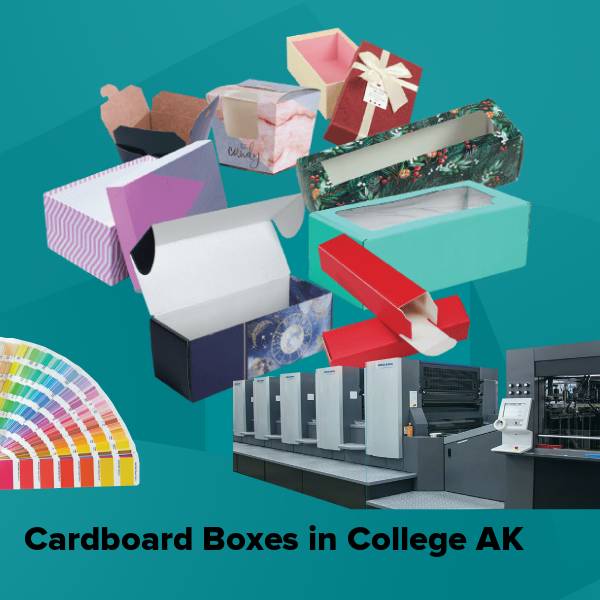 Cardboard boxes in college ak