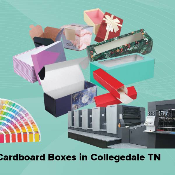 Cardboard boxes in collegedale tn