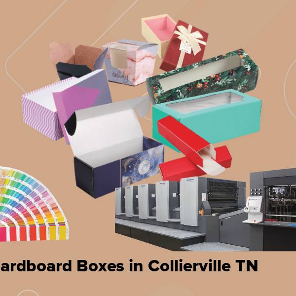Cardboard boxes in collierville tn