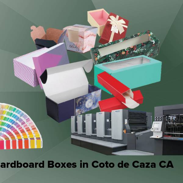 Cardboard boxes in coto de caza ca