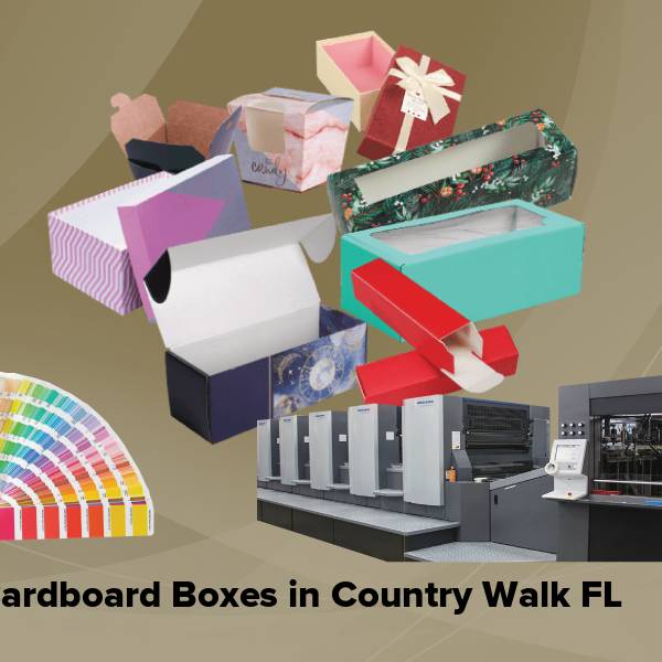 Cardboard boxes in country walk fl