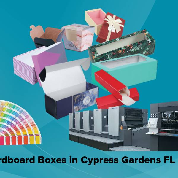 Cardboard boxes in cypress gardens fl