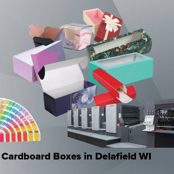 Cardboard boxes in delafield wi