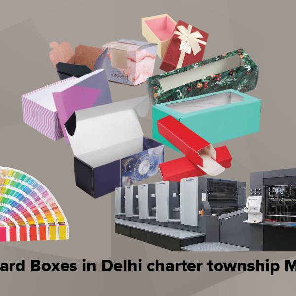 Cardboard boxes in delhi charter township mi