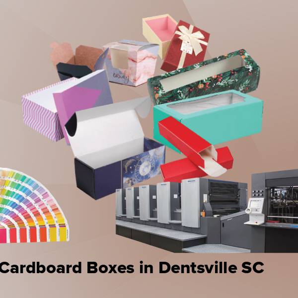 Cardboard boxes in dentsville sc