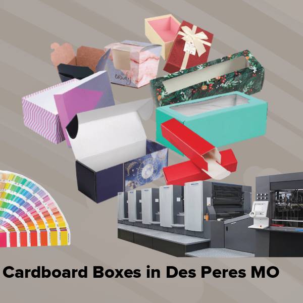Cardboard boxes in des peres mo