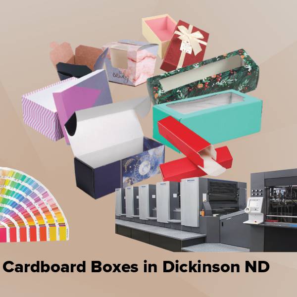 Cardboard boxes in dickinson nd