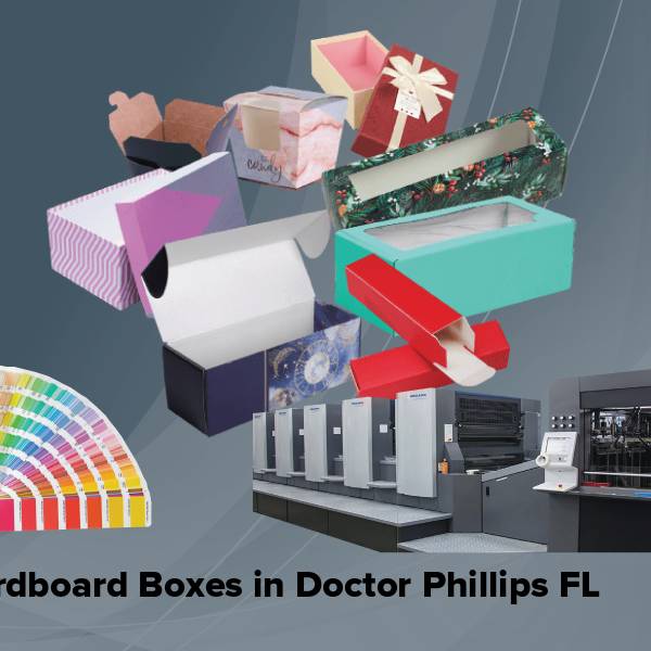 Cardboard boxes in doctor phillips fl