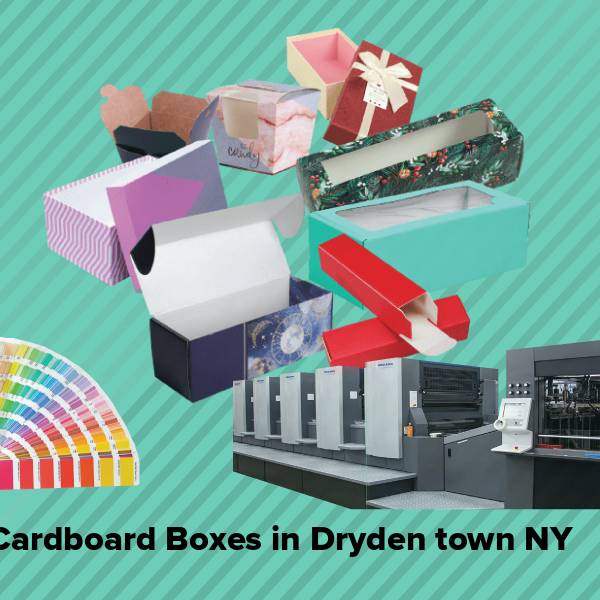 Cardboard boxes in dryden town ny