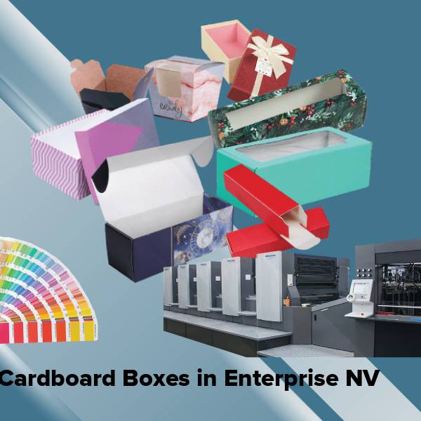 Cardboard boxes in enterprise nv