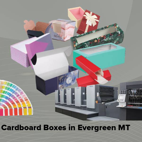 Cardboard boxes in evergreen mt