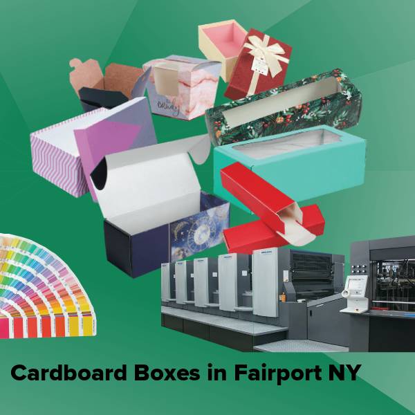 Cardboard boxes in fairport ny