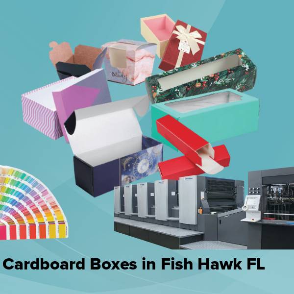 Cardboard boxes in fish hawk fl
