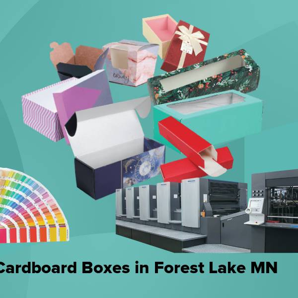 Cardboard boxes in forest lake mn