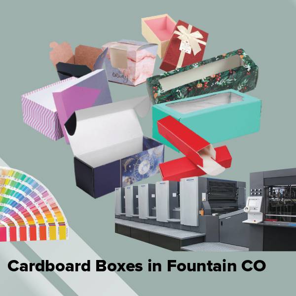 Cardboard boxes in fountain co