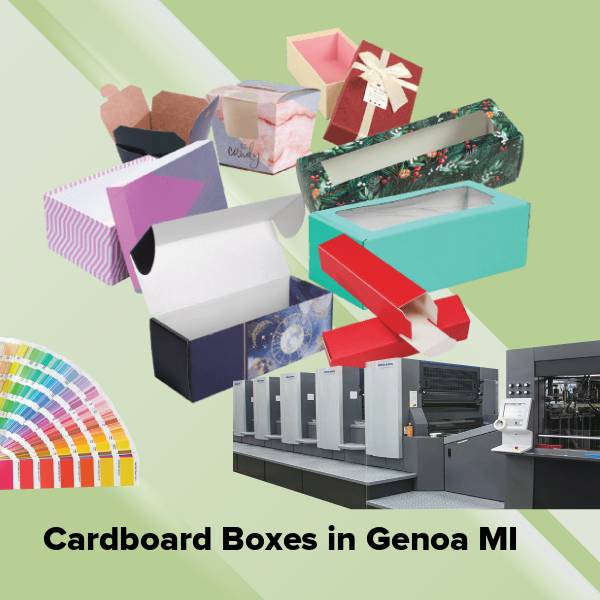 Cardboard boxes in genoa mi