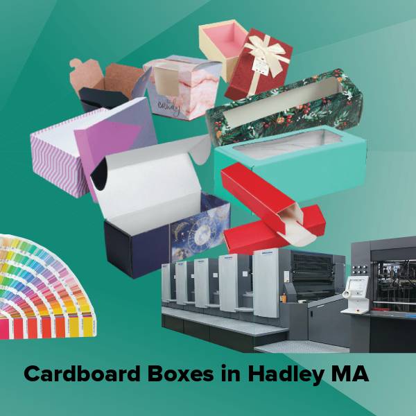 Cardboard boxes in hadley ma