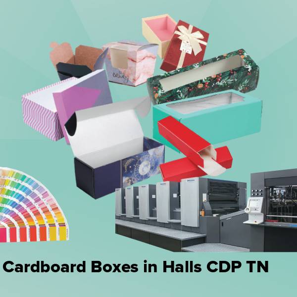 Cardboard boxes in halls cdp tn