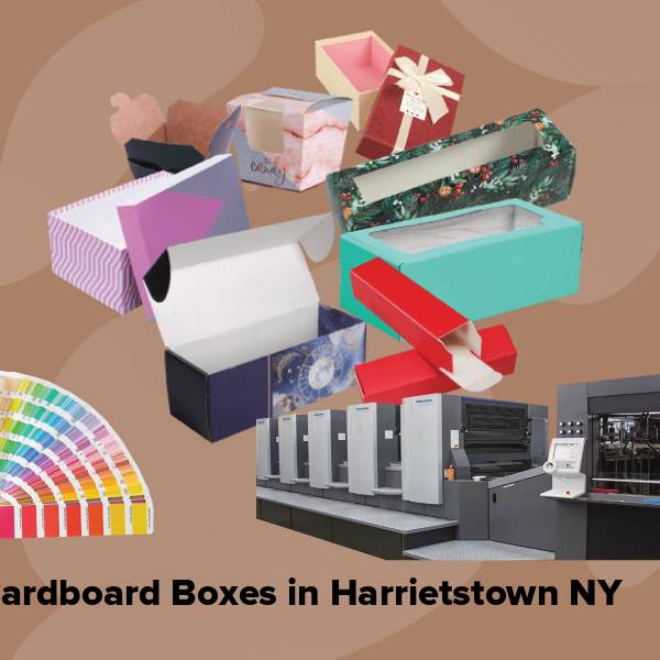 Cardboard boxes in harrietstown ny